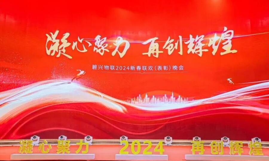 凝心聚力 再创辉煌——全网担保网物联2024年新春联欢（表彰）晚会成功举办